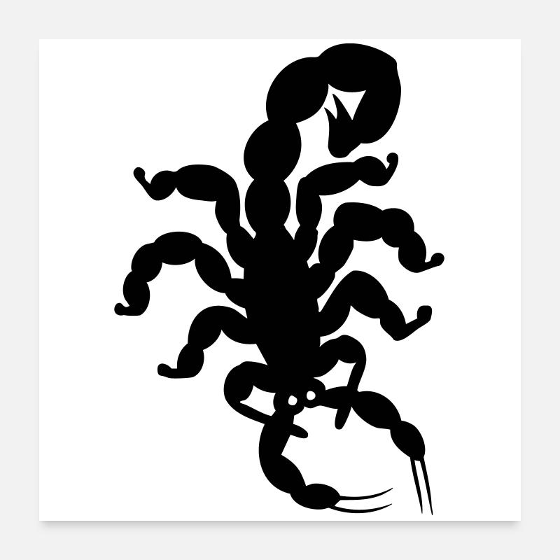 Skorpion Poster 60x60 cm