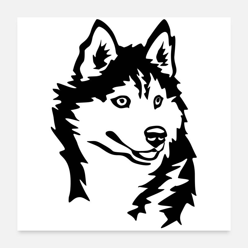 Tête de Husky Poster 60 x 60 cm
