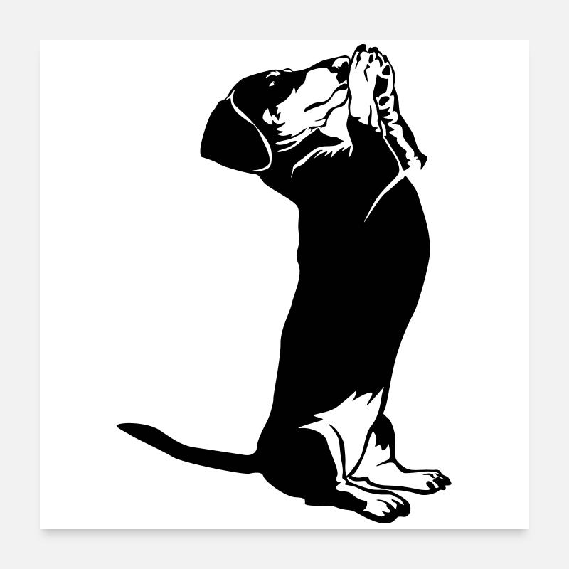 Dackel Poster 60x60 cm
