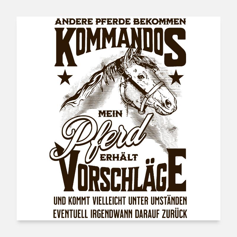 Andere Pferde bekommen Kommandos Pferd Spruch - Poster 60x60 cm - Weiß