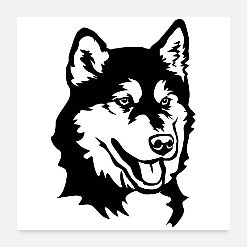 Alaskan Malamute Head Poster 24" x 24" (60x60 cm)