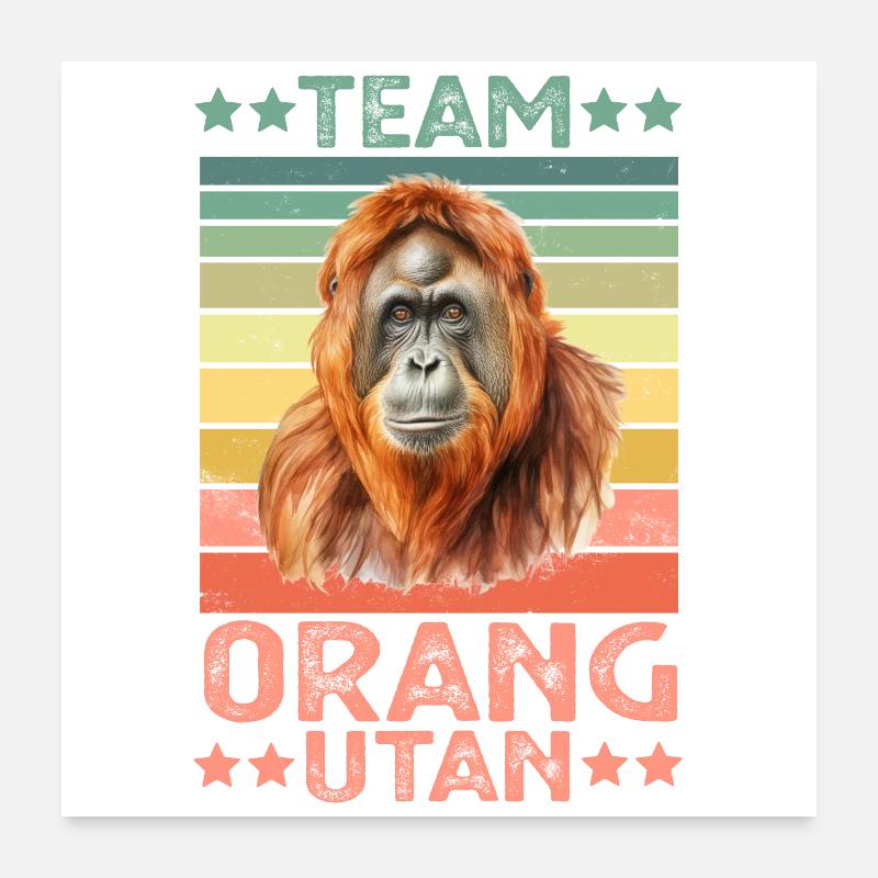 Orang-outan Poster 60 x 60 cm