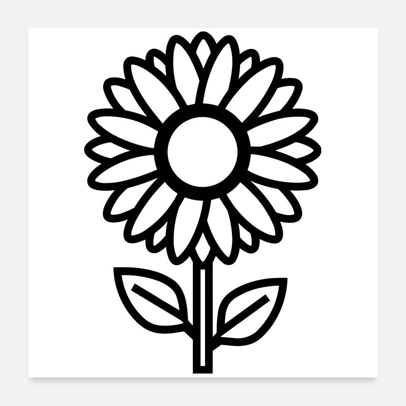 Sonnenblume Poster 60x60 cm