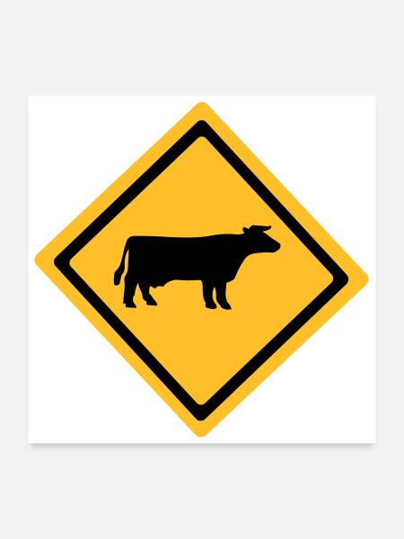 Cattle Anmelden - Poster 60x60 cm - Weiß