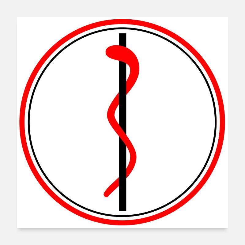 Aesculapius' Staff Poster 24" x 24" (60x60 cm)