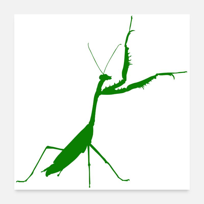 Praying mantis green Poster 24" x 24" (60x60 cm)