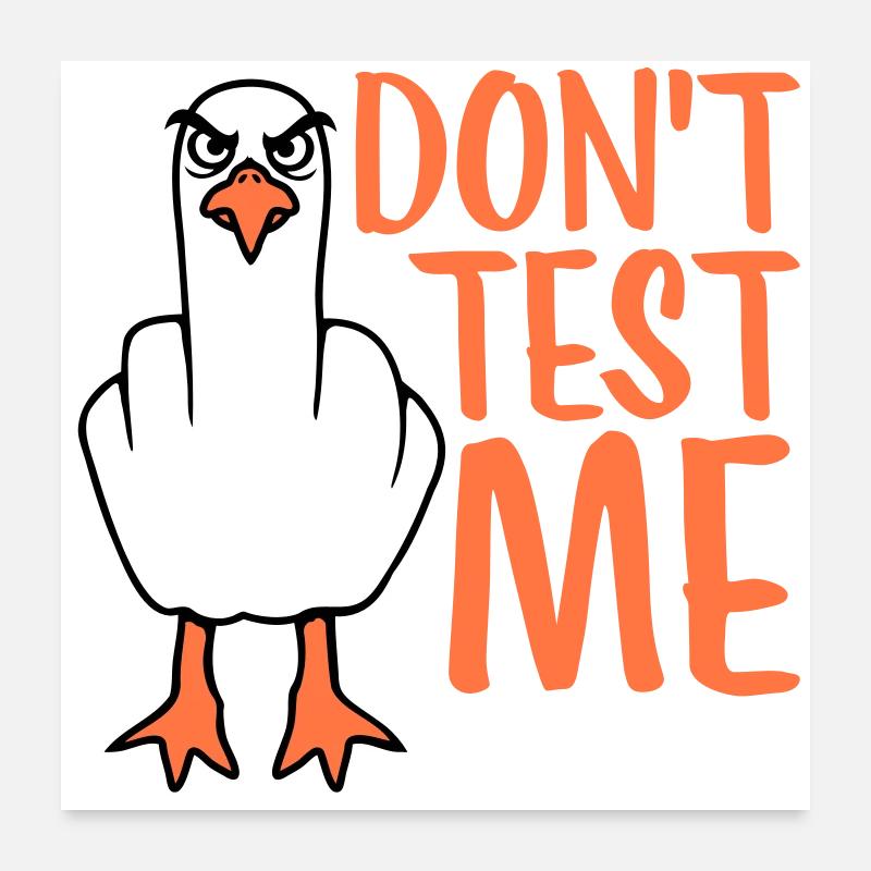 Don't Test Me Möwe Vogel Frech Mittelfinger Böse Poster 60x60 cm
