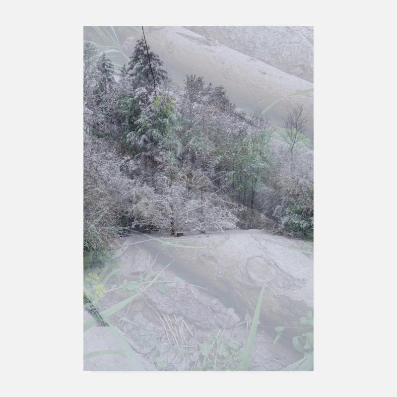 Schnee Landschaft auf Baumstämmen Poster 20x30 cm