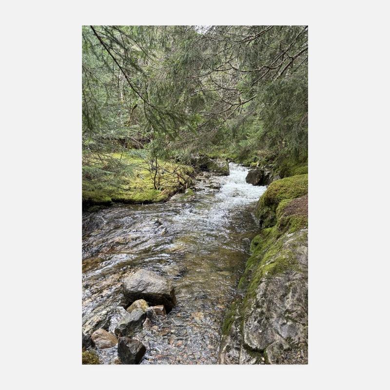 Stillleben im Wald mit Fluss Poster 20x30 cm