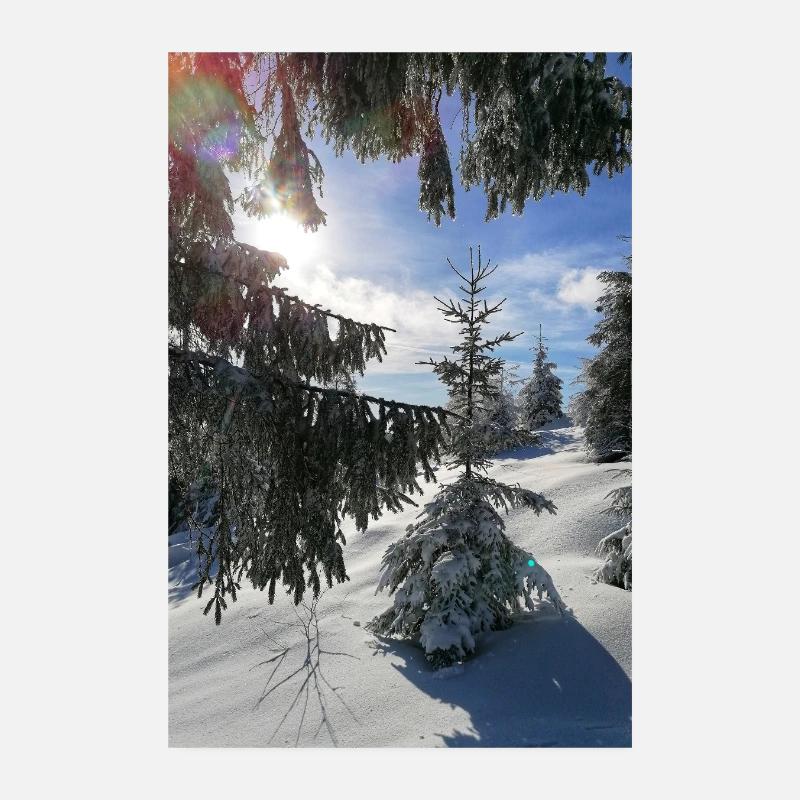 Forêt d’hiver Rayons de soleil dans la neige Poster 20 x 30 cm