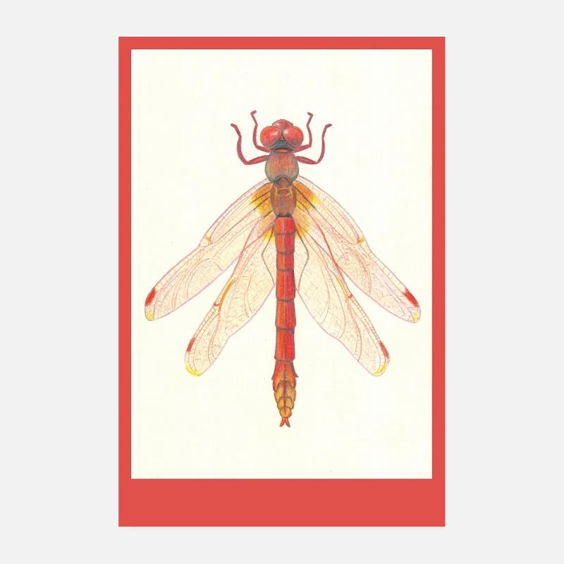 Red Dragonfly Illustration Poster 8" x 12" (20x30 cm)