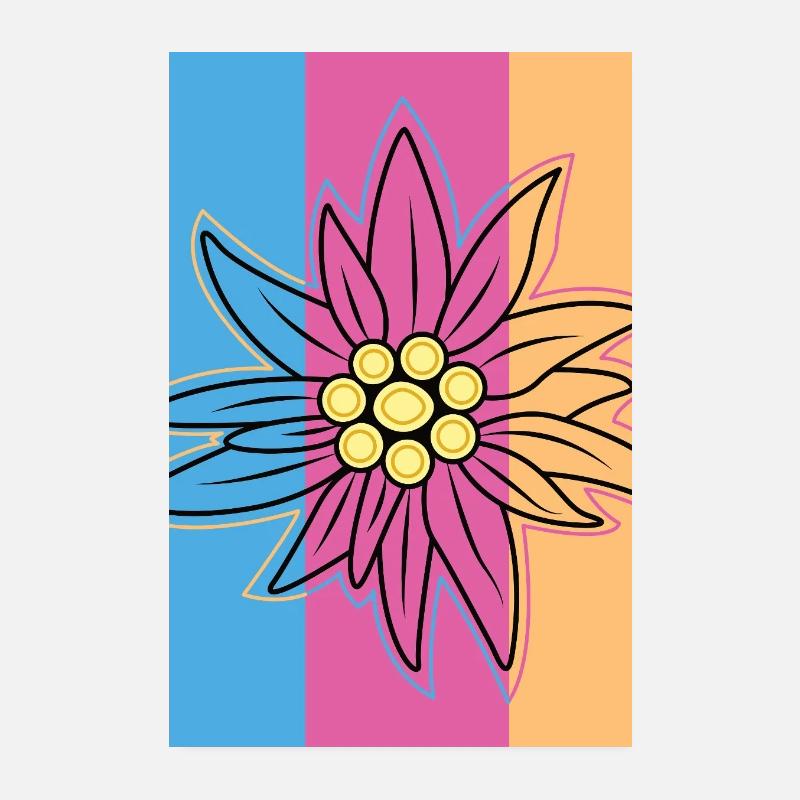 Edelweiss. - Poster 20 x 30 cm - blanc