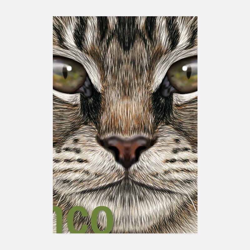 Chat Maine Coon Poster 20 x 30 cm