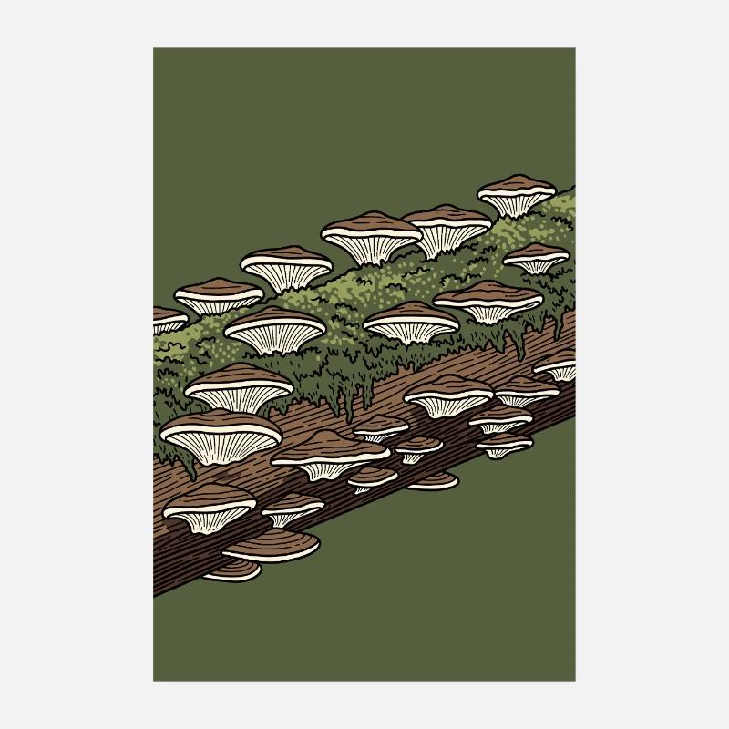 Champignons des bois sur tronc mousseux Poster 20 x 30 cm