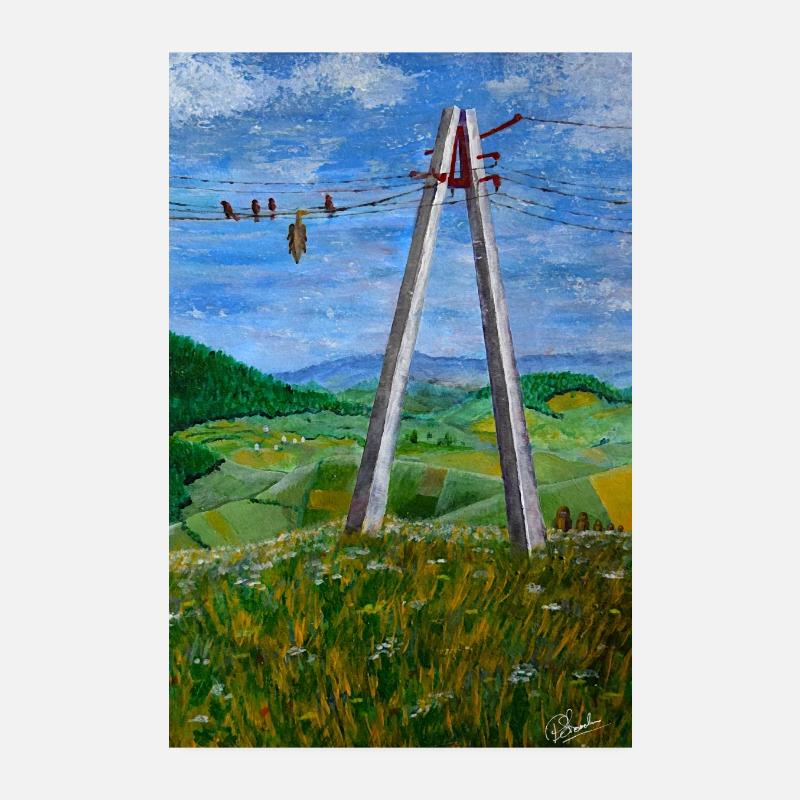 Reflections on Rural Power Lines Poster 8" x 12" (20x30 cm)