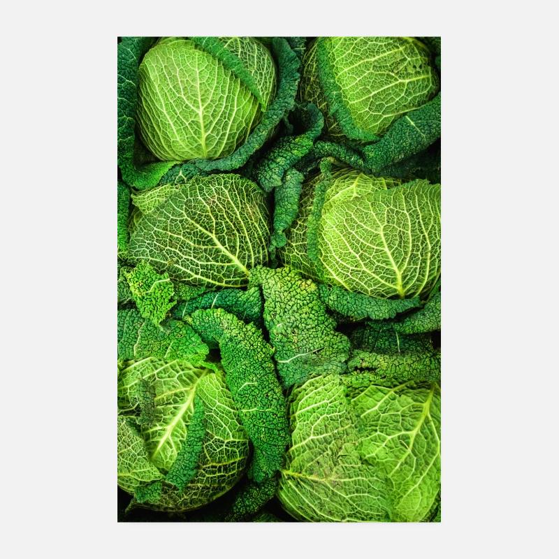 Wirsing Kohl Poster 20 x 30 cm