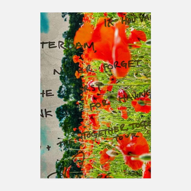 Coquelicots dans le champ avec texte manuscrit Poster 20 x 30 cm