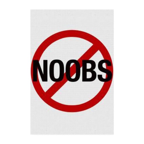 No Noobs - Poster 20x30 cm
