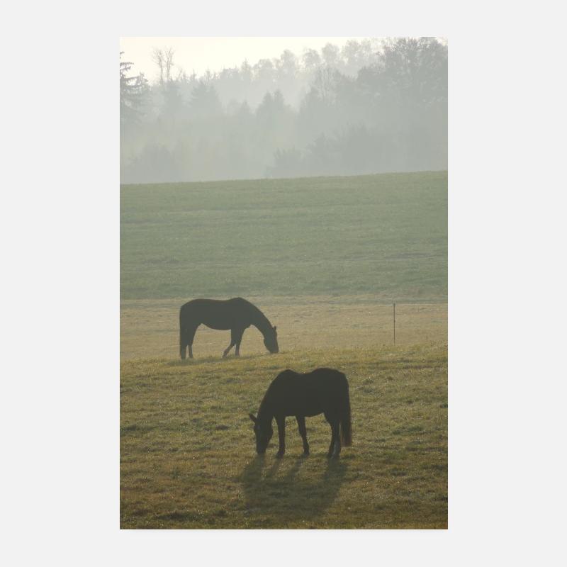 Pferdeweide im Herbst Poster 20x30 cm