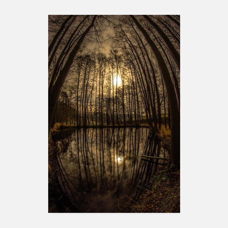 Nuit à l'étang Poster 20 x 30 cm