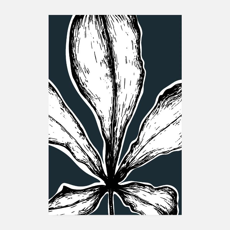 Aesculus -Petrol- - Poster 20x30 cm - Weiß