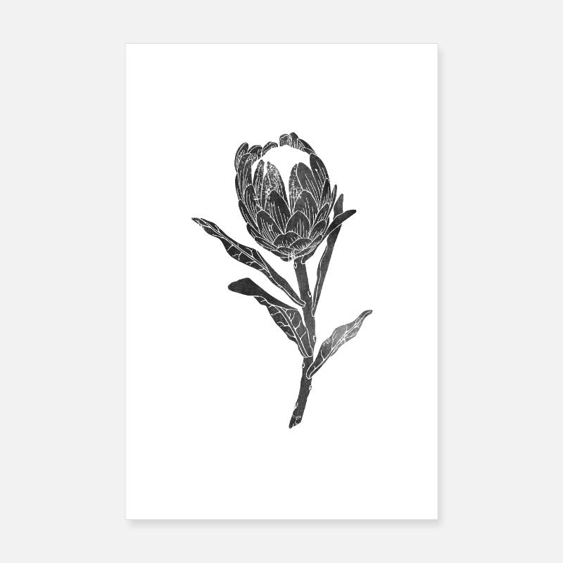 Linocut Protea Protea - Poster 20x30 cm - Weiß