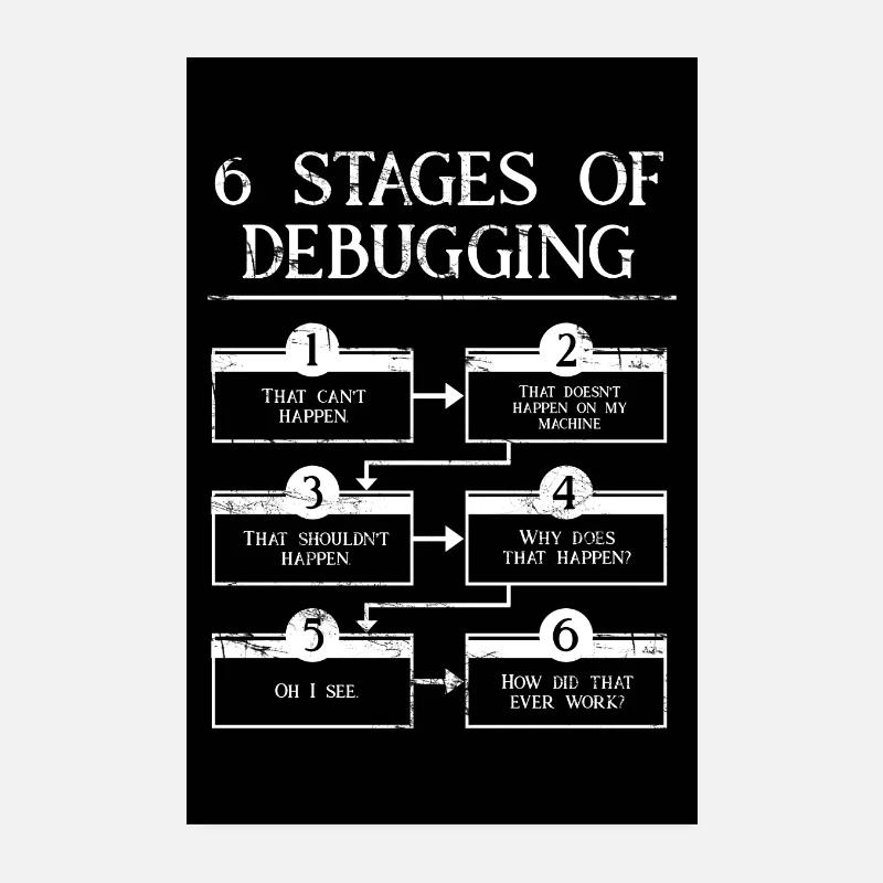 6 Debugging-Phasen Poster 20x30 cm