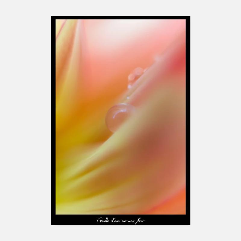 Goutte d eau sur une fleur - Poster 20 x 30 cm - blanc