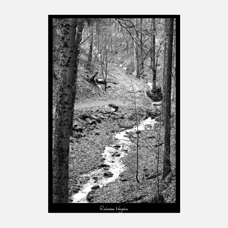Vosgien Stream - Poster 20x30 cm - Weiß
