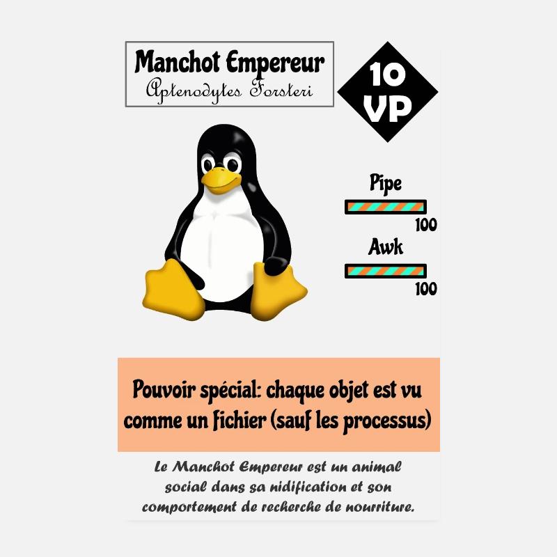 Linux-Spielerkarte mit einem Pinguin Poster 20x30 cm