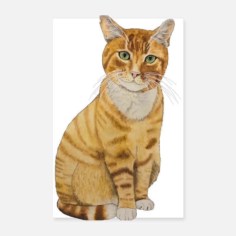 rote Katze sitzend - Poster 20x30 cm - Weiß