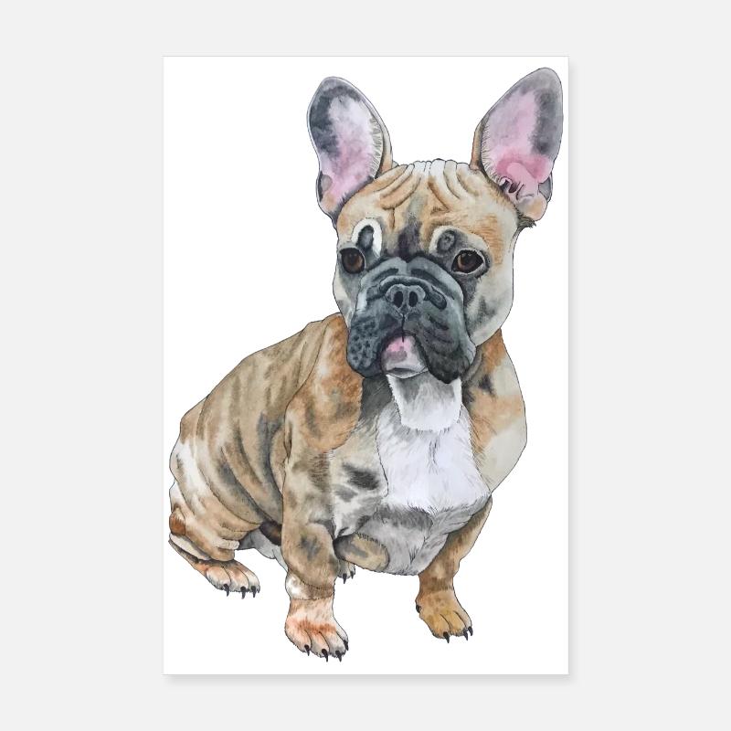Français Bouledogue Poster 20 x 30 cm