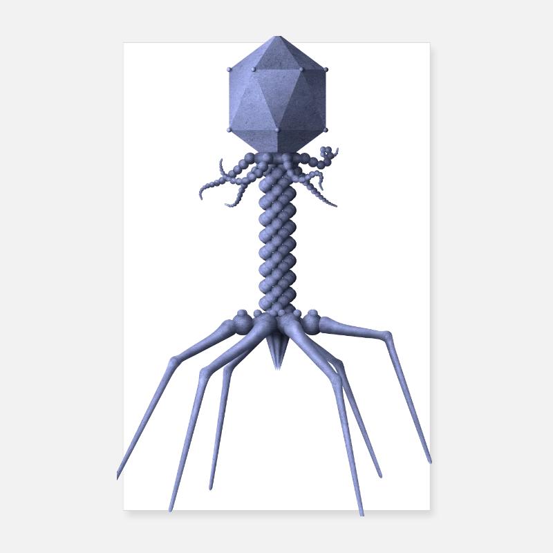 Phage Poster 20 x 30 cm
