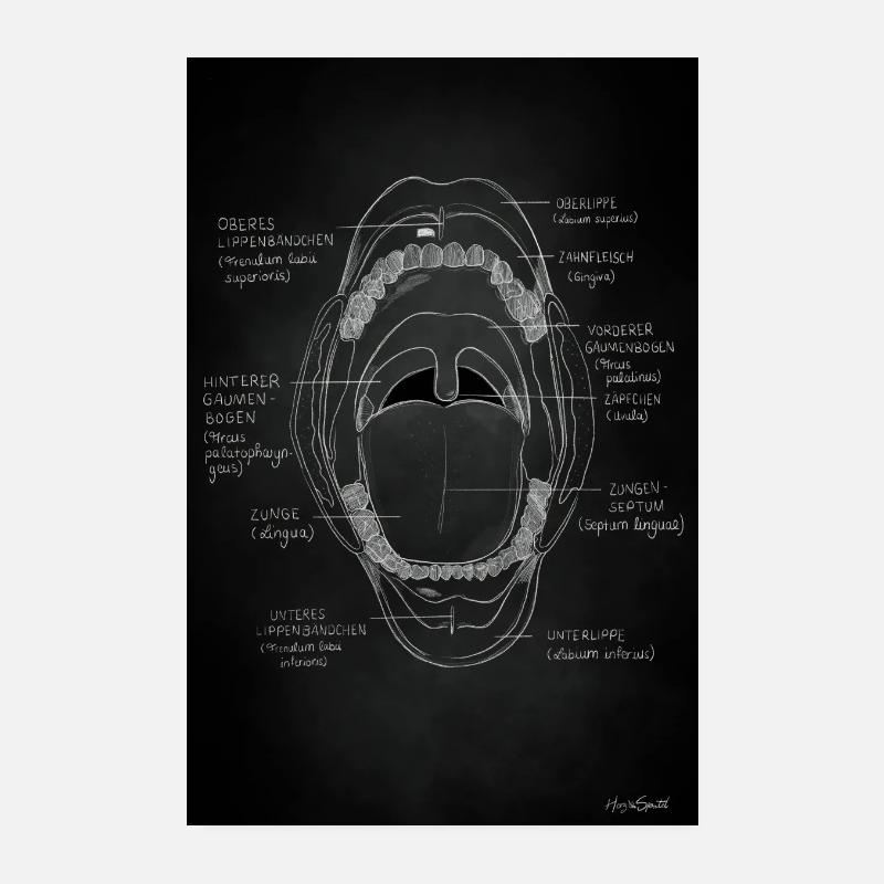 Cavité buccale - Poster 20 x 30 cm - blanc