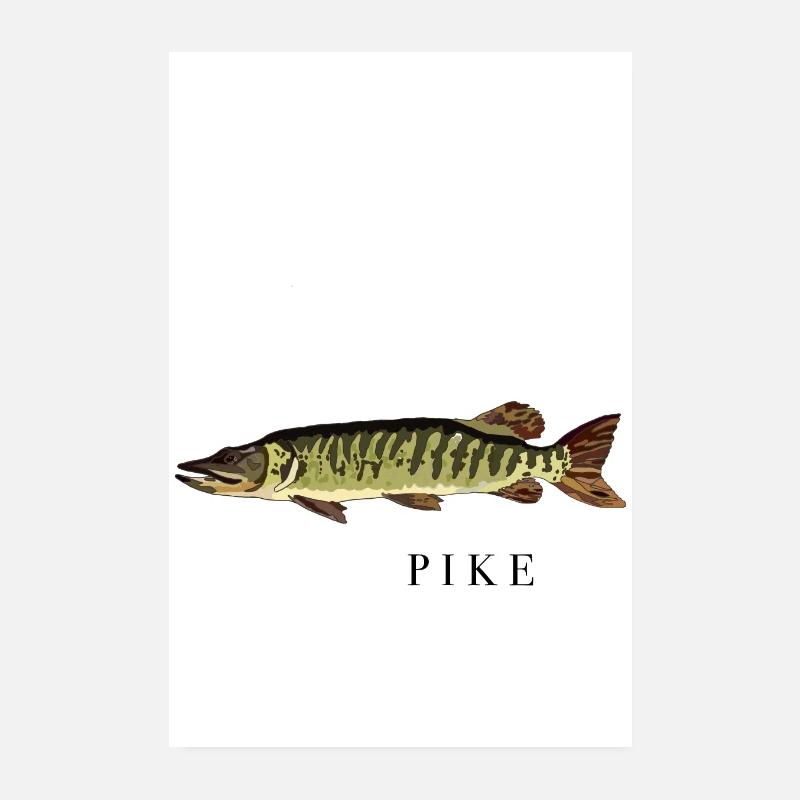 Le brochet Poster 20 x 30 cm