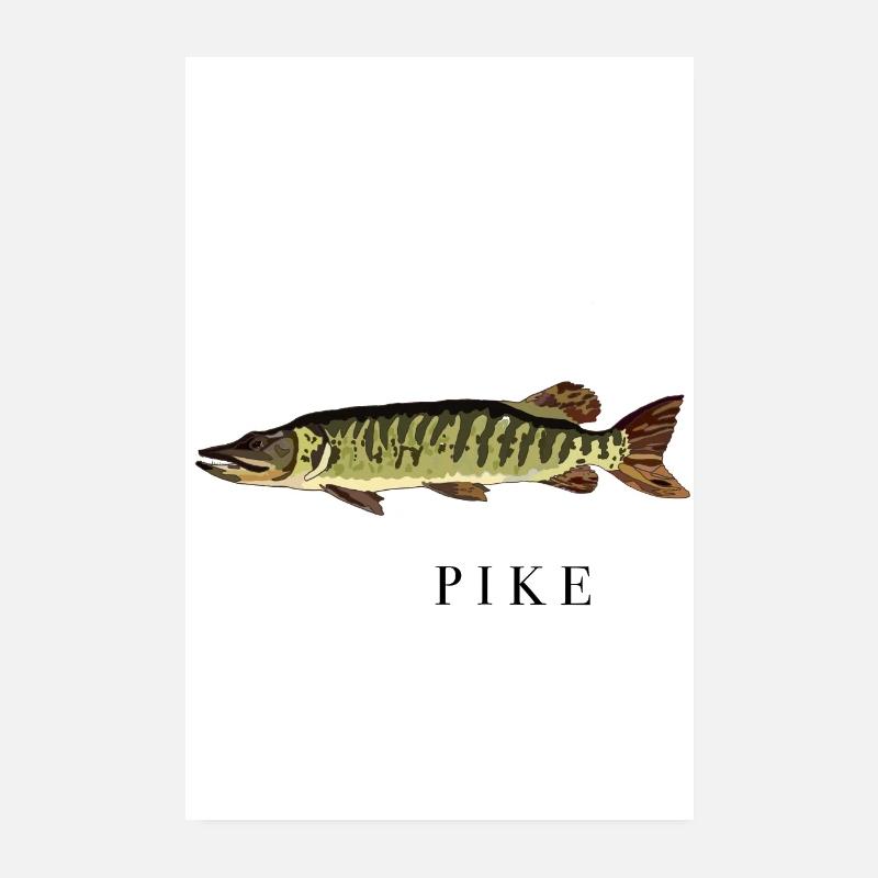 The Pike/ Der Hecht Poster 20x30 cm