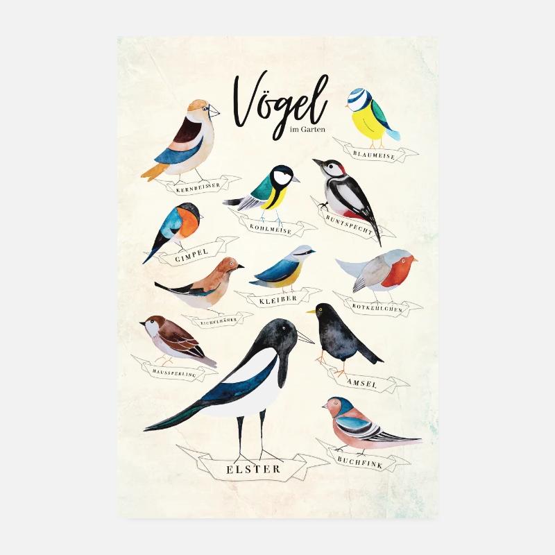 Vögel im Garten - Poster 20x30 cm - Weiß
