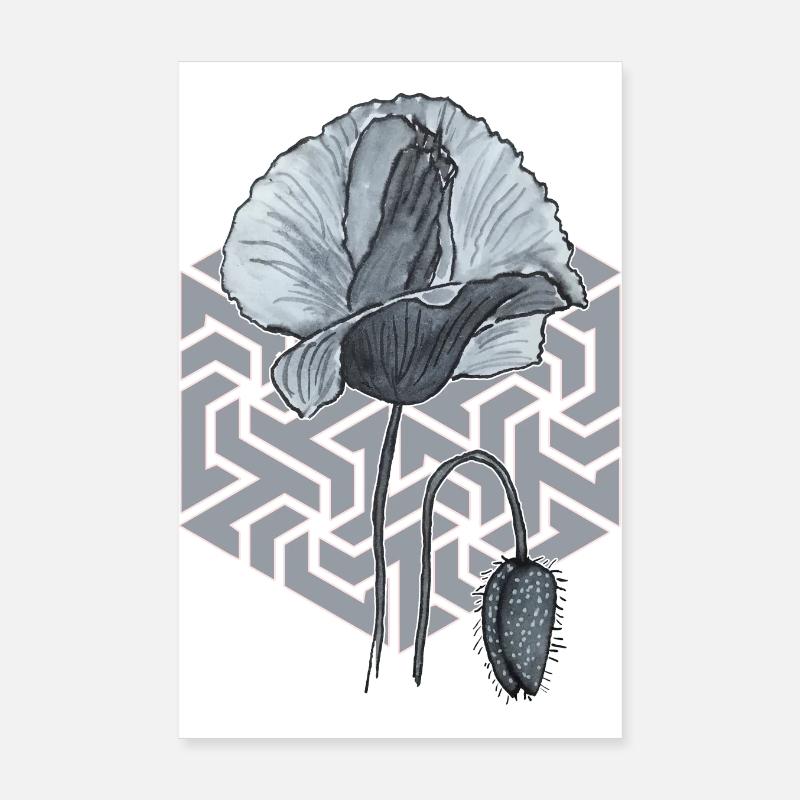 schwarzweiße Mohnblume mit Sechseck im Hintergrund Poster 20x30 cm