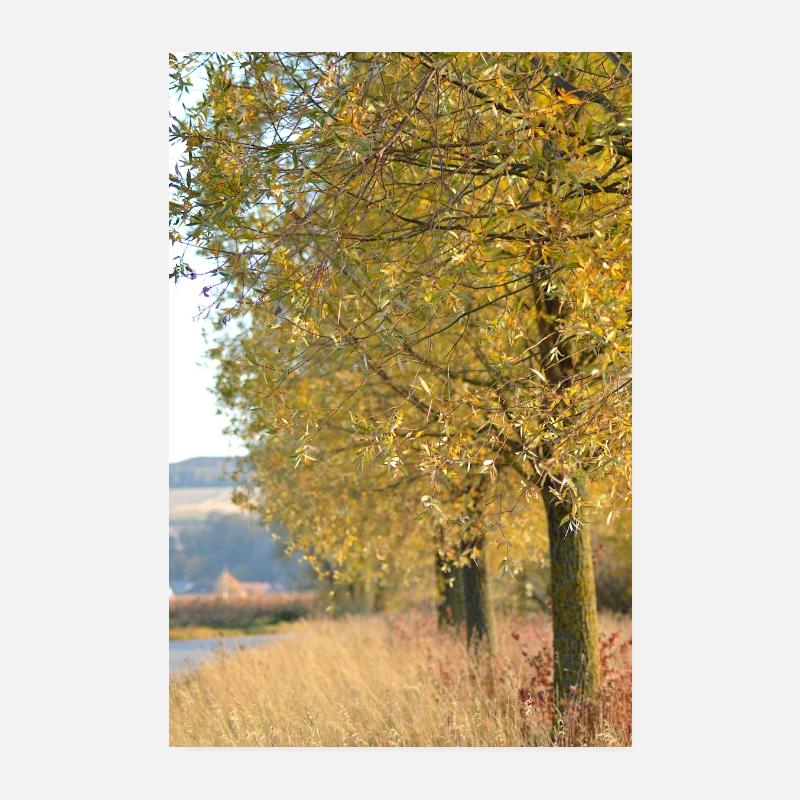 belle chute Poster 20 x 30 cm