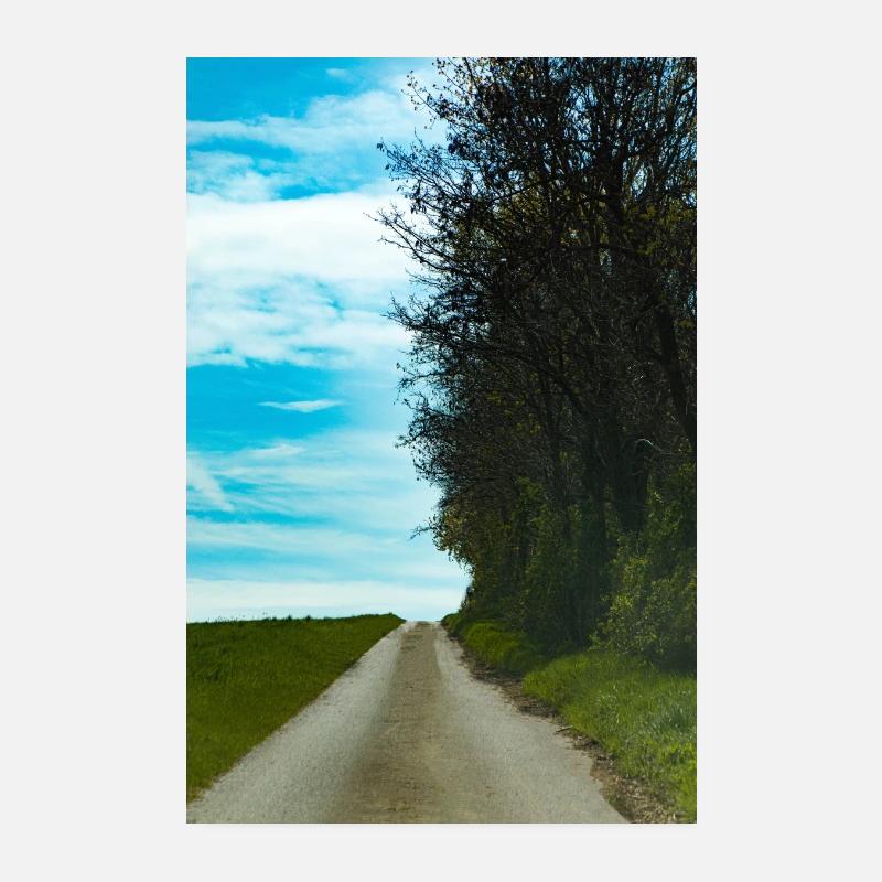 Chemin forestier Poster 20 x 30 cm