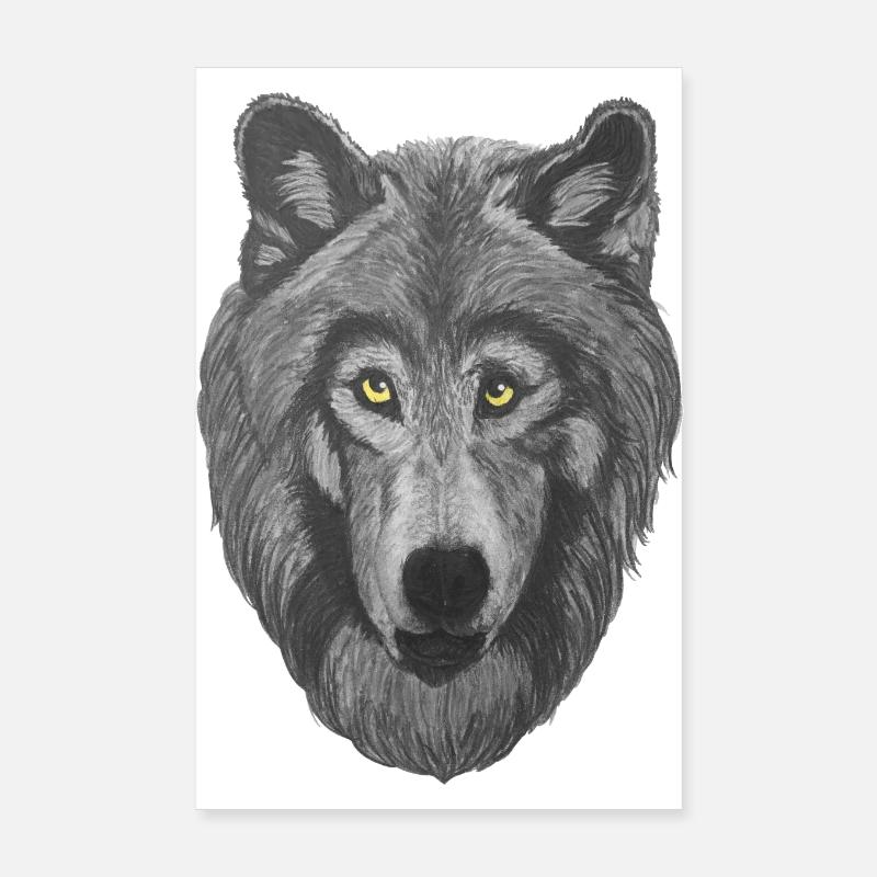 Testa di lupo lupo con pelliccia grigia e occhi gialli Poster 20x30 cm