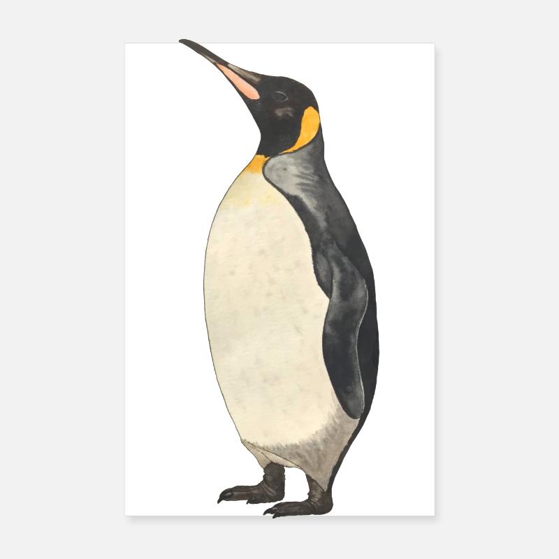Kaiserpinguin Pinguin Poster 20x30 cm