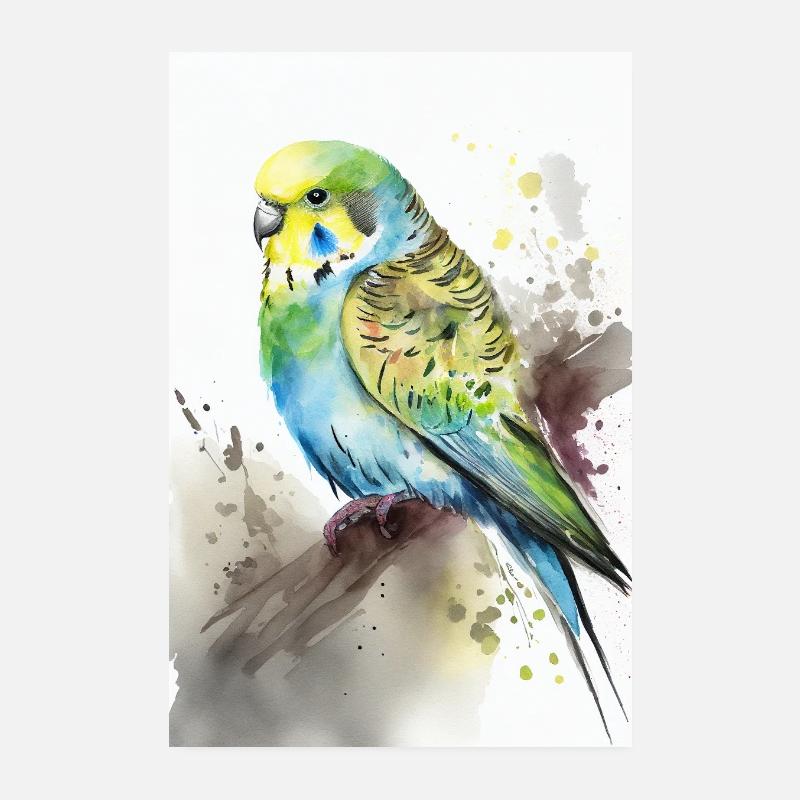 Budgerigar Perruche Oiseau Cockatiel Poster 20 x 30 cm