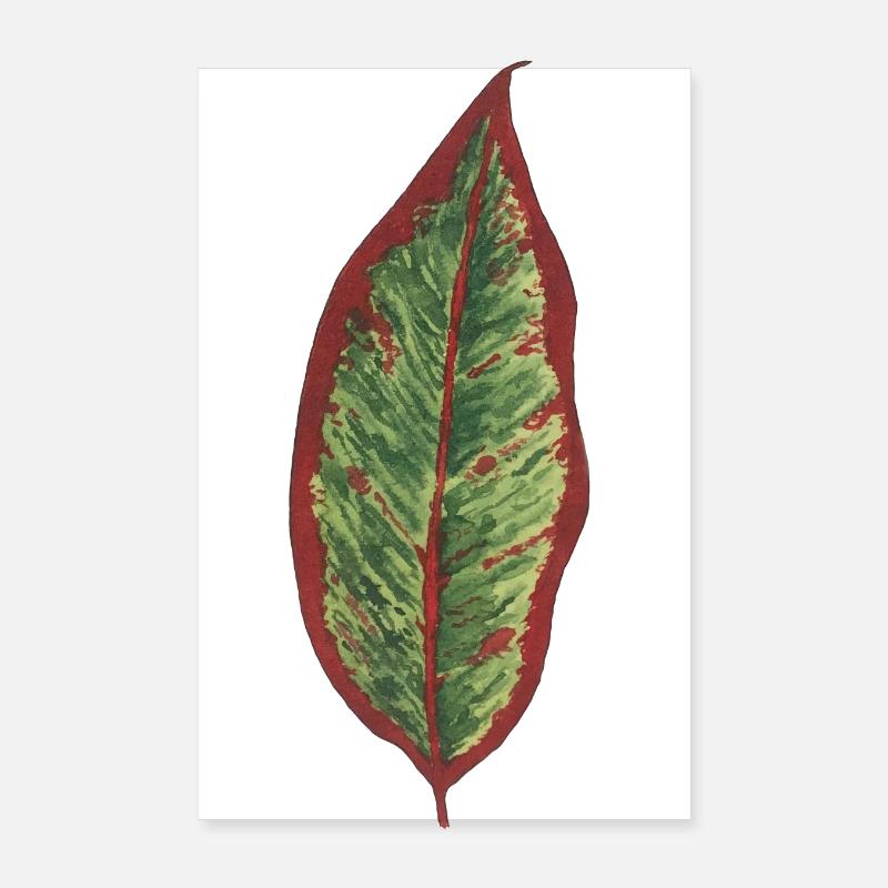 Philodendron leaf plantlover botany plants Poster 8" x 12" (20x30 cm)