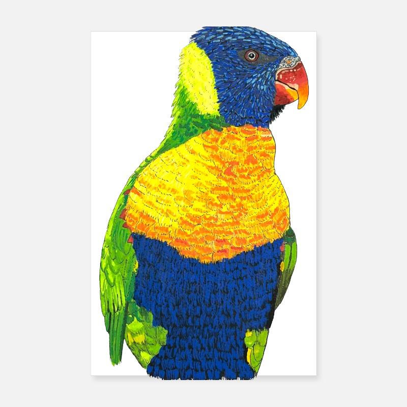 Regenbogenloris Allfarblori bunter Papagei Vogel Poster 20x30 cm