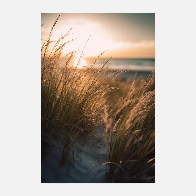 Gräser am Sandstrand V3 Poster 20x30 cm