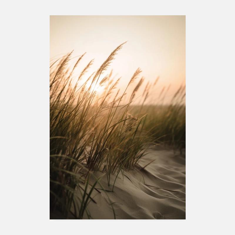 Gräser am Sandstrand V2 Poster 20x30 cm