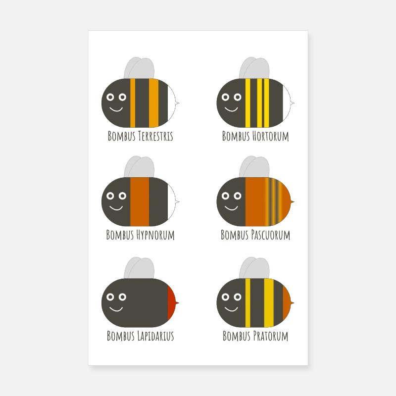 Bourdons Affiche avec différentes espèces Poster 20 x 30 cm