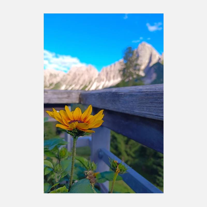 Dolomites de Belluno, col de Cibiana Poster 20 x 30 cm