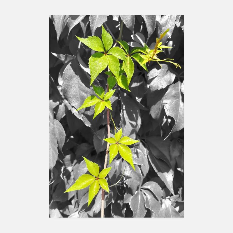 Vignes vert néon en contraste en niveaux de gris Poster 20 x 30 cm